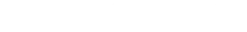 Bullet Journal
